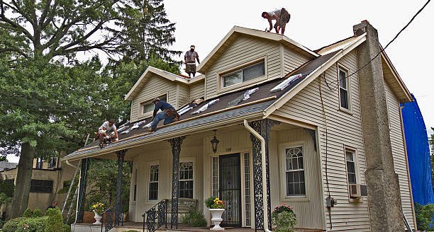 Best Roof Maintenance Services  in Julesburg, CO